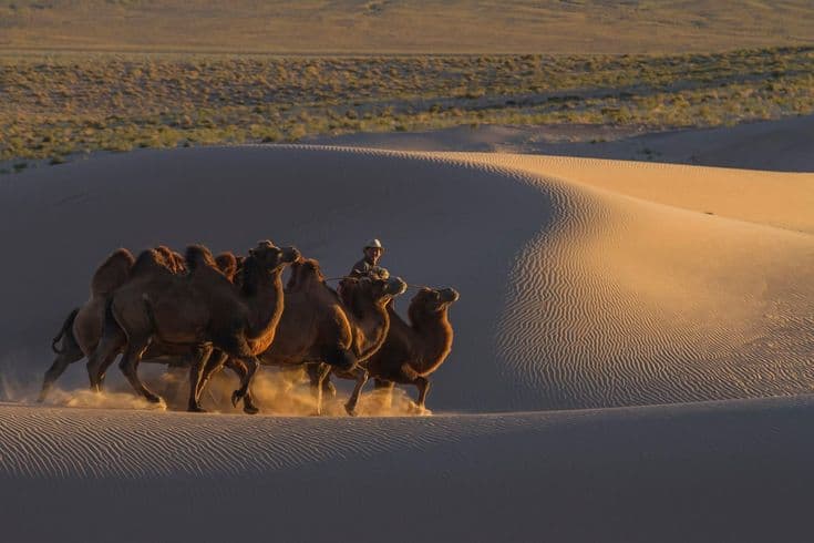 10 things you didn't know about the nomads
