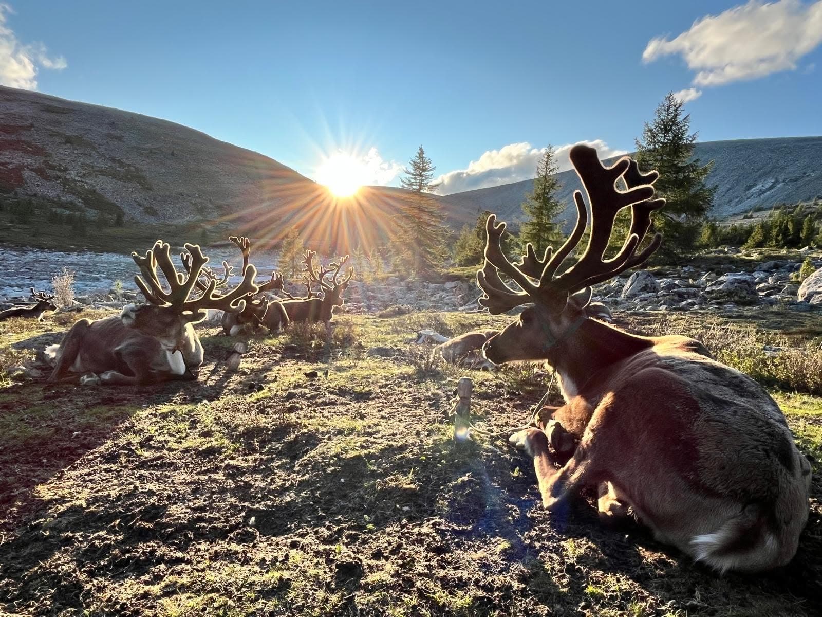 Khövsgöl Lake & Reindeer