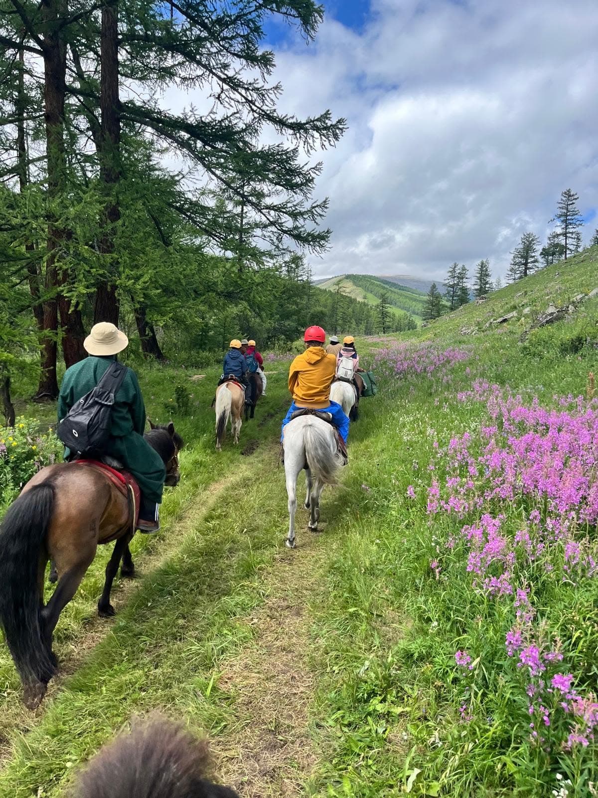 Horse Trekking