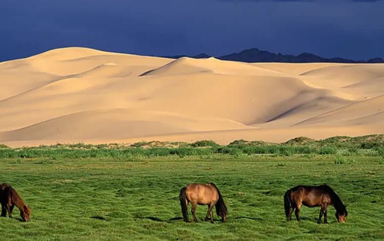 Dunes & Steppe: Elsen Tasarkhai Ger Escape