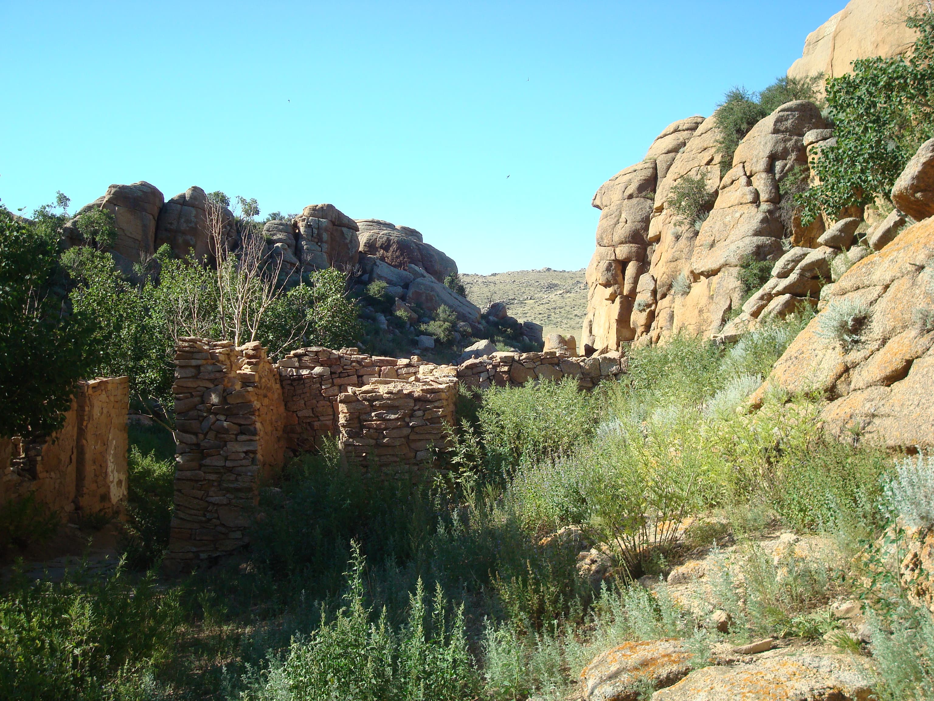 Where the Gobi Begins: Baga Gazriin Chuluu & Delger Choir