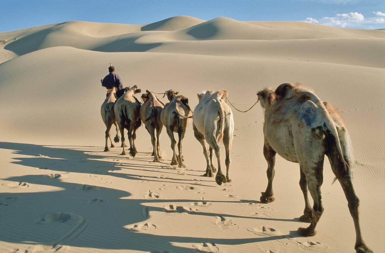 Across Mongolia: Gobi, Orkhon & Reindeer Country — 22 Days