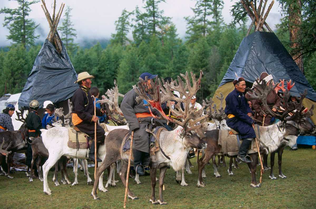 Fly to the Taiga: 8-Day Reindeer Herder Journey